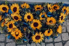 ISC_Villingen_Vero_Schaef-346