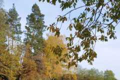 PHOTO-2022-10-29-19-57-52
